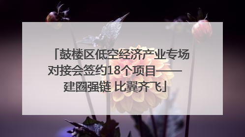 鼓楼区低空经济产业专场对接会签约18个项目——建圈强链 比翼齐飞