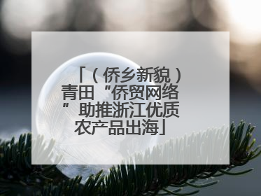 （侨乡新貌）青田“侨贸网络”助推浙江优质农产品出海