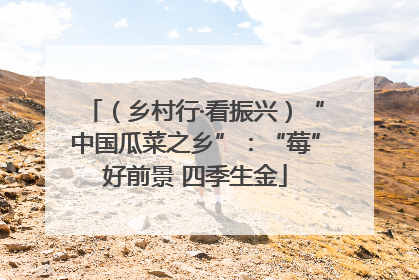 （乡村行·看振兴）“中国瓜菜之乡”：“莓”好前景 四季生金