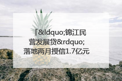 “锦江民营发展贷”落地两月授信1.7亿元，惠及118家民企