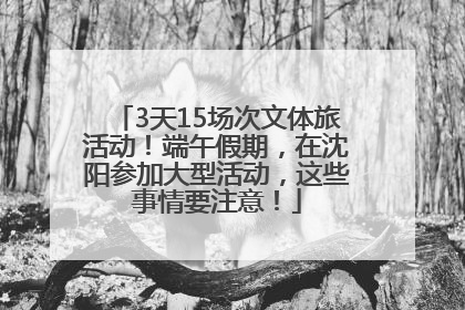 3天15场次文体旅活动！端午假期，在沈阳参加大型活动，这些事情要注意！