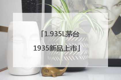 1.935L茅台1935新品上市