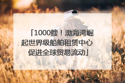 1000艘！渤海湾崛起世界级船舶租赁中心 促进全球贸易流动