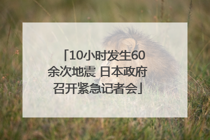 10小时发生60余次地震 日本政府召开紧急记者会