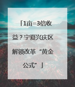 1亩=3倍收益？宁夏兴庆区解锁改革“黄金公式”