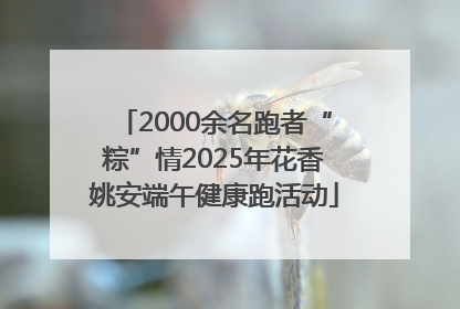 2000余名跑者“粽”情2025年花香姚安端午健康跑活动