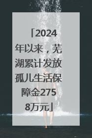 2024年以来，芜湖累计发放孤儿生活保障金2758万元