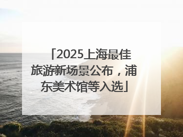 2025上海最佳旅游新场景公布，浦东美术馆等入选