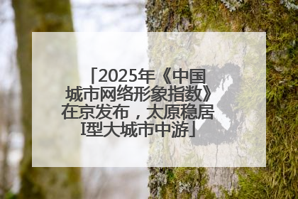 2025年《中国城市网络形象指数》在京发布，太原稳居I型大城市中游