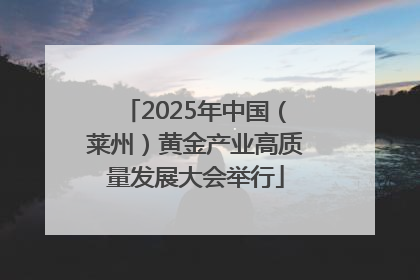 2025年中国（莱州）黄金产业高质量发展大会举行