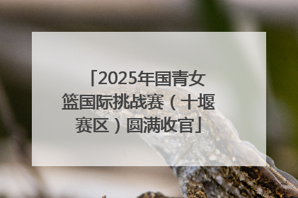 2025年国青女篮国际挑战赛（十堰赛区）圆满收官