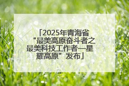 2025年青海省“最美高原奋斗者之最美科技工作者—星耀高原”发布