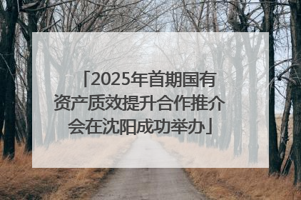 2025年首期国有资产质效提升合作推介会在沈阳成功举办