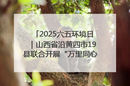 2025六五环境日｜山西省沿黄四市19县联合开展“万里同心，共护黄河”环保志愿者助力一泓清水入黄河公益活动