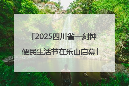 2025四川省一刻钟便民生活节在乐山启幕