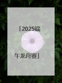 2025端午龙舟赛