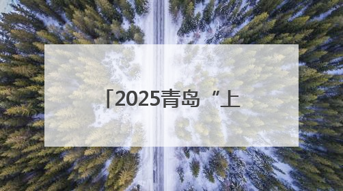 2025青岛“上合杯”上合组织国家网球团体赛开幕