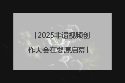 2025非遗视频创作大会在婺源启幕