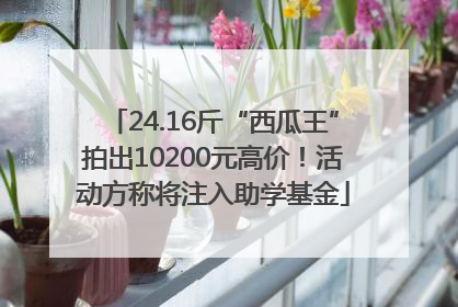 24.16斤“西瓜王”拍出10200元高价！活动方称将注入助学基金