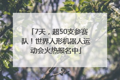 7天，超50支参赛队！世界人形机器人运动会火热报名中
