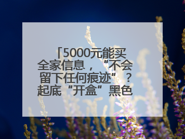 5000元能买全家信息，“不会留下任何痕迹”？起底“开盒”黑色产业链