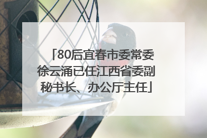 80后宜春市委常委徐云涌已任江西省委副秘书长、办公厅主任