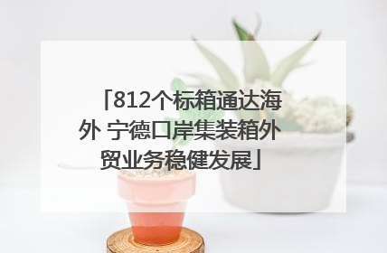 812个标箱通达海外 宁德口岸集装箱外贸业务稳健发展