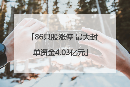 86只股涨停 最大封单资金4.03亿元