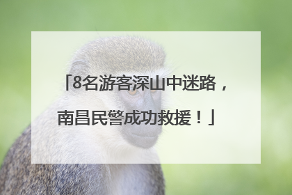 8名游客深山中迷路，南昌民警成功救援！