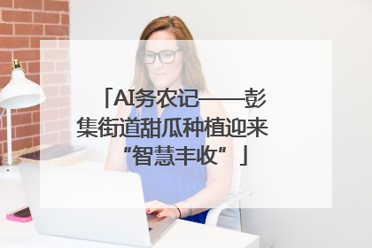 AI务农记——彭集街道甜瓜种植迎来“智慧丰收”