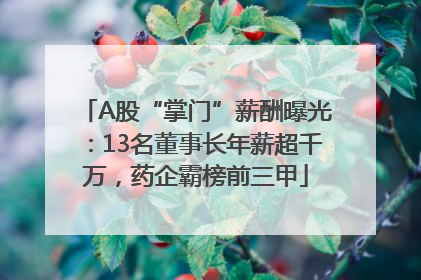 A股“掌门”薪酬曝光：13名董事长年薪超千万，药企霸榜前三甲